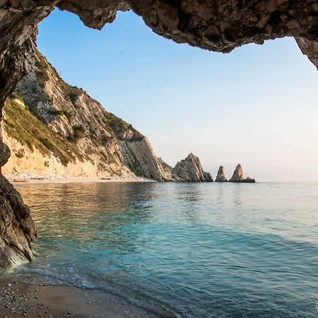 143 - Cin It04bsxwcwhr Camerano